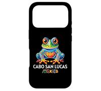 Cabo San Lucas Los Cabos Souvenir Cabo Case for iPhone 17 Pro