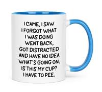 Cabtnca Funny Gifts for Elderly Women Men, I Came I Saw I Forgot What I Was Doing Coffee Mug, Funny Mug for the Elderly Senior Citizen Old People Christmas Birthday Gifts, 11 Oz