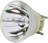 CABULB-EU RLC-120 Compatible Bare Bulb Projector Lamp Without Housing for Viewsonic PG706HD/PG706WU/VS17692/VS17693