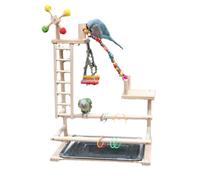 Cachpib Wooden Bird Playground Parrot Play Stand Parrot Playpen with Ladder, Swings, Windmill & Stainless Steel Tray Budgie Playground Cage Exercise Gym Toys for Parakeets Cockatiel