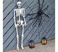 Cackle & Co 5ft Hanging Skeleton Decoration Halloween Party Prop Full Size Poseable Jointed