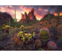 Cacti and Thorns