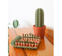 Cactichess - Roll up Cactus Chess Set, 3D Printed Cactus Chess Set,Portable Chess Sets for Adults,Portable Chess Board and Piece