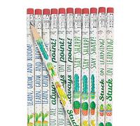 Cactus And Succulents Pencils - 24 Pieces - Educational And Learning Activities For Kids