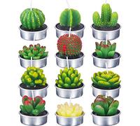 Cactus Candles Set, 12 Pieces Succulent Candles Delicate Succulent Candles for Party, Wedding, Spa, Home Decoration, Gifts (Blue)