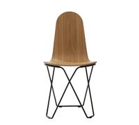 Cactus chair Cuero