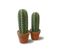 Cactus Chess - A Unique Succulent-Themed Chess Board Game, A Creative Decorative Gift, Ideal For Gardening Enthusiasts, And A Durable Handmade Board Game Set (2 sets)