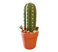 Cactus Chess Board, 3D Printed Game Set, Portable Decorative Design, Unique Plant Theme, Chessboard Display Piece for Home Parties, Travel, Desktop, Offices, Apartment Use, 9.84x5.91x5.91 inches