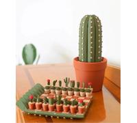 Cactus Chess Set, Rollable Cactus Kit, Succulent Plant Chess Pieces, Magnetic Board Game, Checkers Board Game, Fun Gift for Plant Lovers, Portable Board and Pieces