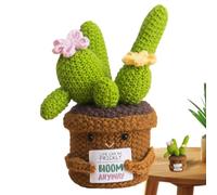 Cactus Crochet - Positive Ornament | Handmade Positive Cactus Plant Doll For Mindfulness Practitioners Kids Teens Sensitive Children New Environment