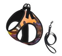 Cactus Desert Sunsets print Dog Harness and Leash Set, Reflective Adjustable Puppy Vest for Small Medium Large Dogs, Cats