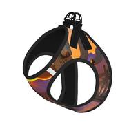Cactus Desert Sunsets Print Pet Leash Vest,For Small Dogs,Adjustable And Comfortable Cat Puppy Essentials