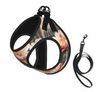 Cactus Floral Bloom Print Pet Vest Harnesses Leash Set Reflective Puppy Vest Dogs Walking Training Dog Harness