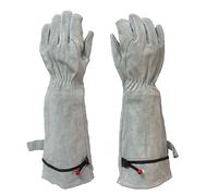 Cactus Gloves, Thorn Proof Gardening for Rose Pruning & Cacti Handling(White*M)