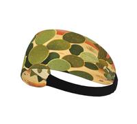 Cactus Landscape Elastic Printed Sweat Wicking Headband For Men Women