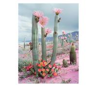 Cactus Paint by Numbers Kit for Adults Flower Acrylic Paint by Numbers 28 x 20in Canvas Painting Craft Kits for Kids Wall Decor, Large Canvas Wall Art Painting for Home Decor Gifts for Women JLYH-2404