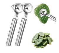 Cactus Peeler Spoon - 2/3/4pcs Stainless Steel Cactus Peeler with Long Handle Noodle Cutter Tool Easy Thorn Removal for Kitchen Cooking Mexican Vegetable Prep Gadgets (2pcs)