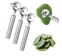 Cactus Peeler Spoon - 2/3/4pcs Stainless Steel Cactus Peeler with Long Handle Noodle Cutter Tool Easy Thorn Removal for Kitchen Cooking Mexican Vegetable Prep Gadgets (3pcs)