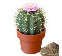 Cactus Salt And Pepper Shakers - Salt Pepper Shaker Bottle | Dustproof Condiment Shakers Jars | An Adorable, Cute, And Interesting Set Made From Sturdy ABS, With A Compact Size Suitable For Any Dining