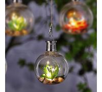 Cactus Solar Garden Lantern 5 Warm White LED - 13cm by Bright Garden