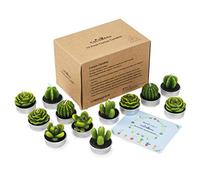 Cactus Tealight Candles,12 Pieces Handmade Delicate Succulent Cactus Candles for Party Wedding Spa Home Decoration