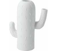 Cactus vase columnar cactus wheels
