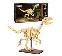 CaDA Velociraptor Skeleton Display Dinosaur Fossils - 256 Pieces - Self-Build Brick Building Block Model C59014W