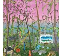 Caddywhompus - ODD HOURS [New Vinyl LP]