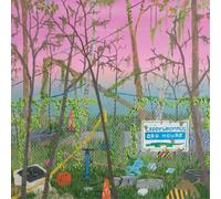 Caddywhompus Odd Hours (Vinyl) 12" Album (US IMPORT)