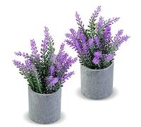 CADNLY Artificial Lavender Plant in Pots - Faux Lavender Flowers Decor - Fake Flowers Purple Decor Plant Potted Bathroom Bedroom Kitchen Farmhouse Home 2 Pack