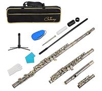 Cadway New C Flutes Closed Hole 16 Keys Flute for Beginner Kids Student Flute Instrument with Cleaning Kit, Stand, Gloves, Tuning Rod,Carrying Case, (Antique bronze)