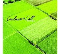 Caedmon's Call - 40 Acres [CASSETTE]