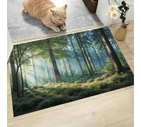 CAEITLRSO Healing Landscape Door Mat, 45x75cm Machine Washable Mat, Forest Sunshine Super Soft Non Slip Doormat Indoor Outdoor Water Absorbent Floor Mats Entrance Rug, Light Green