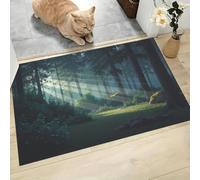 CAEITLRSO Washable Small Rug, Healing Landscape Non Slip Door Mat, 60x90cm Sunshine Forest, Soft Low Pile Rug, Rubber Backing, Stain & Fade Resistant, for Kitchen Bathroom Indoor Entrance