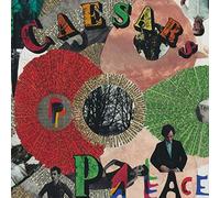 Caesars - Youth Is Wasted On The Young [VINYL]