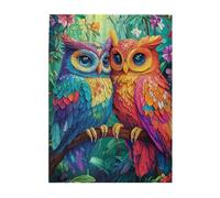 Cafemira 500 Pcs Wooden Jigsaw Puzzle,Colorful feathers Owl Couple Snuggling,Creative Activity Hobbies for Adults,Relieve Stress and Enjoy the Fun of Solving,Exercise your hands on skills