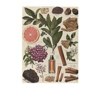 Cafemira Jigsaw Puzzle Wooden 500 Pcs for Adult,Vintage perfume poster illustrations of various types and colors,Relax and Enjoy the Fun of Solving,Exploratory hobbies& challenges