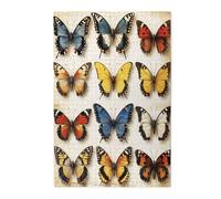 Cafemira Neatly Arranged Butterfly Specimens,1000 Pieces jigsaw Puzzles for Adults,Scientific Entomology Display,Exploratory hobbies and challenges,Hands on assembly of your home decor wall art
