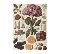 Cafemira Wooden jigsaw Puzzle 500 Pieces for Adults,Vintage perfume poster illustrations of various types and colors,Relax and enjoy the fun of solving,Exercise Hands on Skills and Thinking