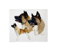 CafePress Akita Multi Throw Blanket Super Soft Fleece Plush Throw Blanket, 60"x50"