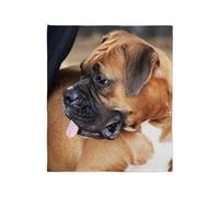CafePress Boxer Dog Throw Blanket Super Soft Fleece Plush Throw Blanket, 60"x50"