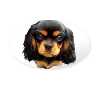 CafePress Cavalier King Charles Spaniel Sticker Oval Bumper Sticker, Euro Oval Car Decal