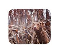 CafePress Chesapeake Bay Retriever Sherpa Fleece Throw Blank Sherpa Fleece Throw Blanket, 60" L x 50" W