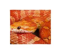 CafePress Corn Snake Throw Blanket Super Soft Fleece Plush Throw Blanket, 60"x50"