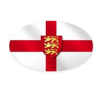 CafePress England Three Lions Flag Oval Bumper Sticker, Euro Oval Car Decal