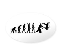 CafePress Evolution Aikido Oval Bumper Sticker, Euro Oval Car Decal