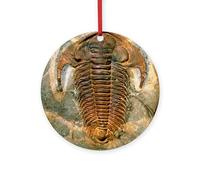 CafePress Fossil Trilobite From The Cambrian 4" Round MDF Wood Ornament