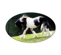 CafePress Gypsy Vanner Oval Sticker Oval Bumper Sticker, Euro Oval Car Decal