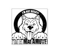 CafePress I'm Not Husky! I'm A Malamute Sticker Square Bumper Sticker Car Decal