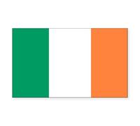 CafePress Irish Flag Rectangle Sticker Rectangle Bumper Sticker Car Decal